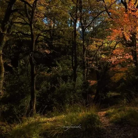 Casas Natura - Centro