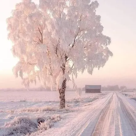 Apartamento Casas Natura - Centro *