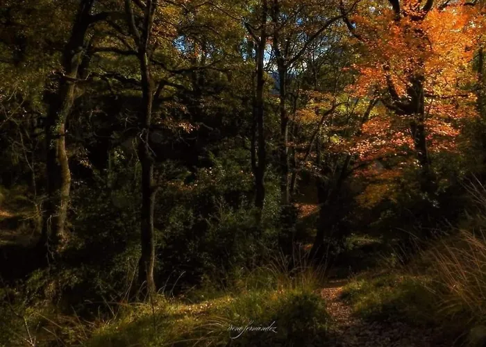 Casas Natura - Centro