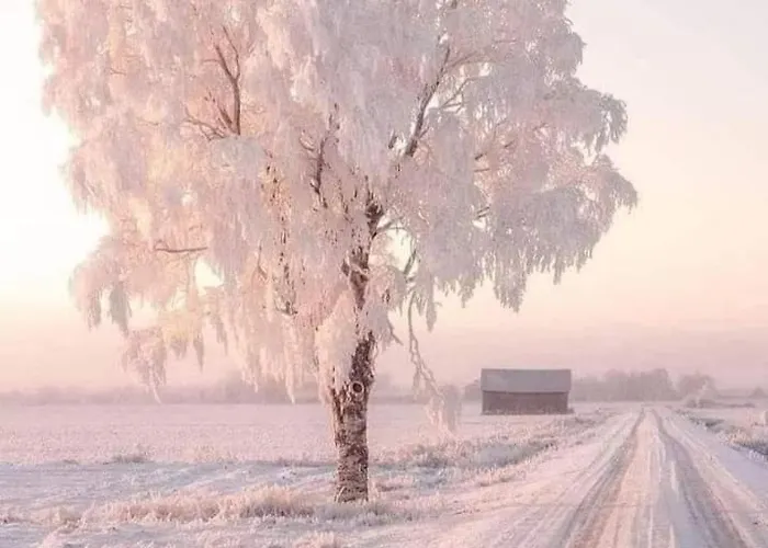 아파트 Casas Natura - Centro *